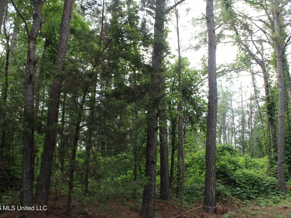 351 Waites Rd, Holly Springs, MS 38635