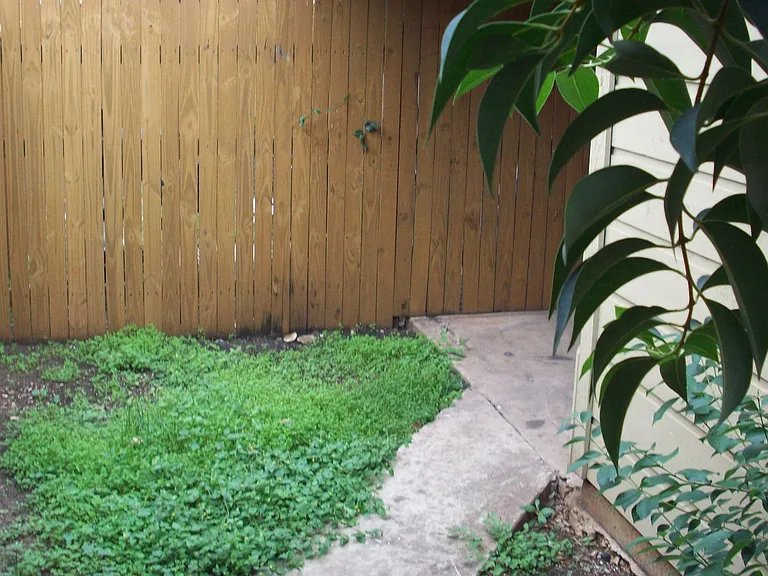 Boerne Townhomes — Photo 24