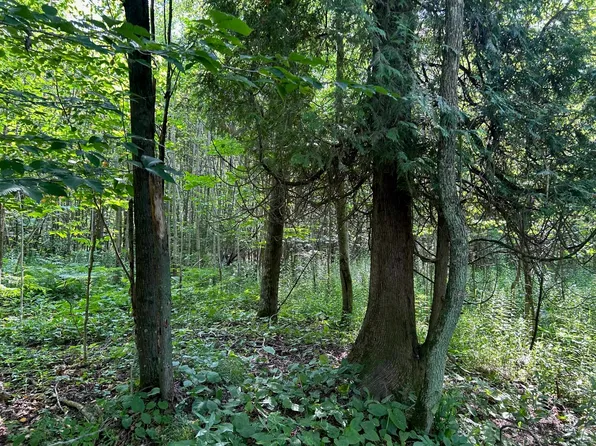 Balsam Ln, Algoma, WI 54201