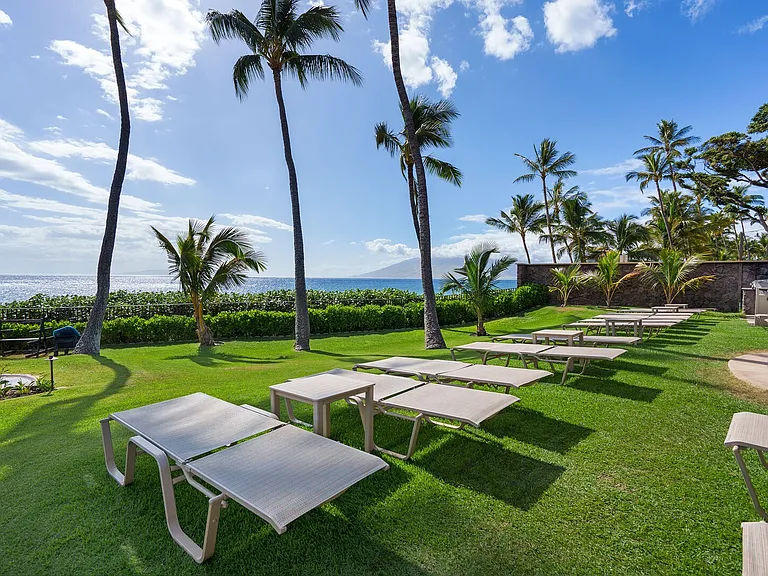 Wailea Alanui Dr — Photo 45