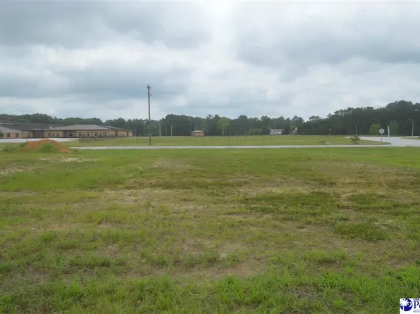 1277 Egrets Point, Hartsville, SC 29550