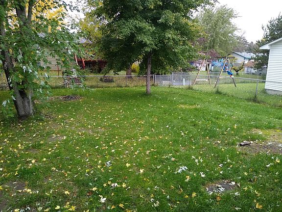 Back yard