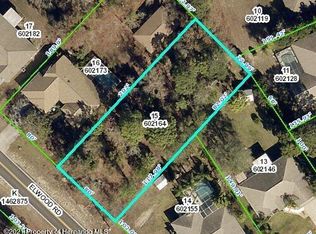 0 Elwood Rd, Spring Hill, FL 34608