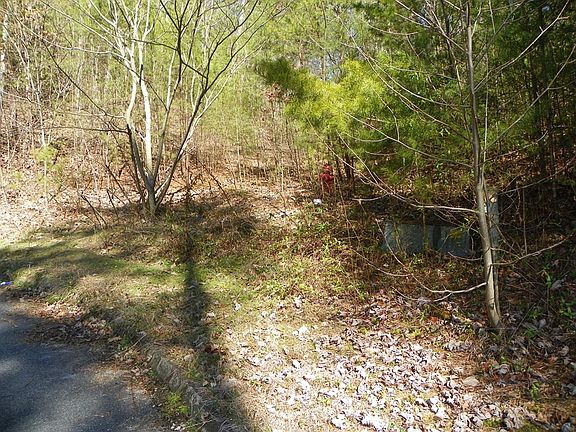 3rd image of 0 Shadow Ridge Dr Lot 37