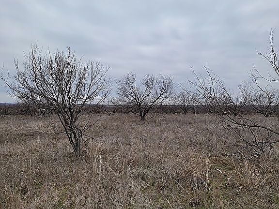 3rd image of 1405 S Fm 369
