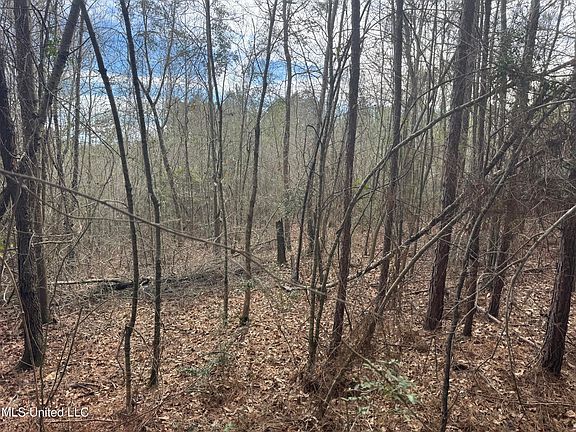 5th image of 0 Hawpond Church Rd