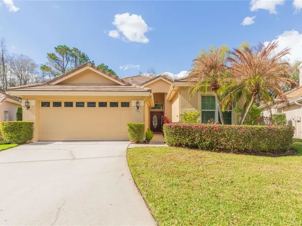 17746 Nathans Dr, Tampa, FL 33647