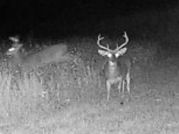 5th image of TBD Muddy Creek Rd.