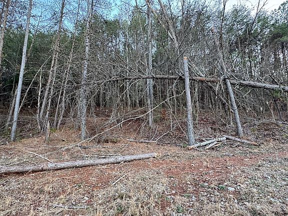5th image of 2100 Cottonport Ridge Rd