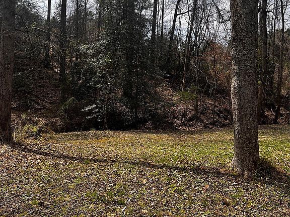 3rd image of 0 Cemetery Loop