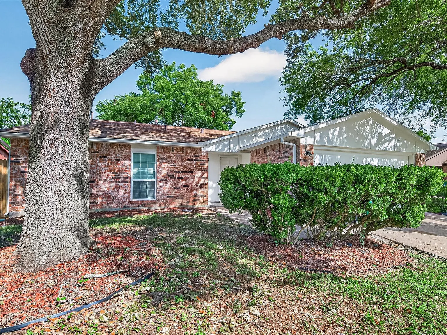 3 bed, 2.0 bath, 1575 sqft, $1,750 — Photo 3