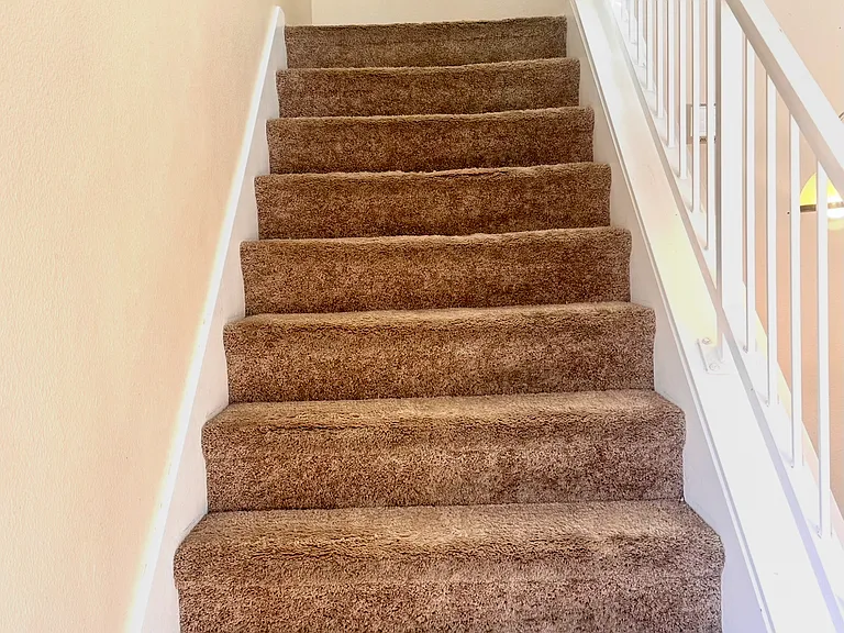 5342 Buffalo Hide St — Photo 13