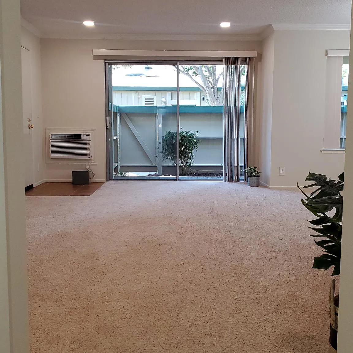 Live Oak Apartments — Photo 4