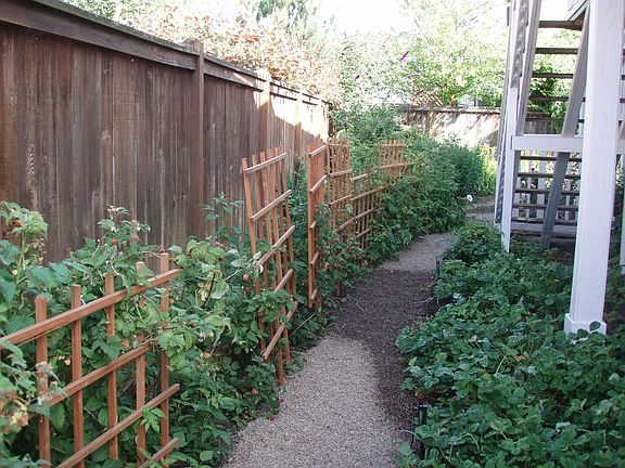 Rasp, blue, and strawberries