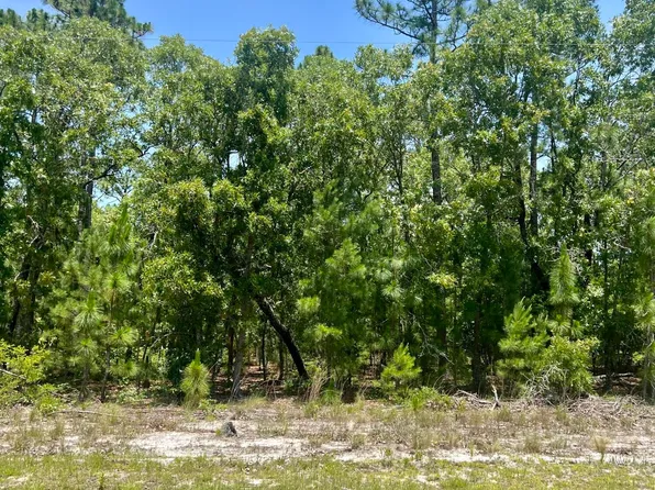 0 Bear Branch Drive, Currie, NC 28435