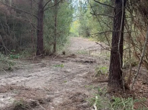 Rayford Shumock Rd, Moss Pt, MS 39562