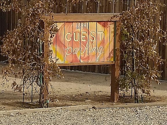 Guest Parking, grape plants 