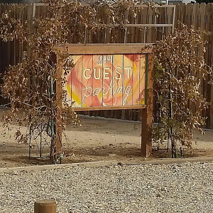 Guest Parking, grape plants 