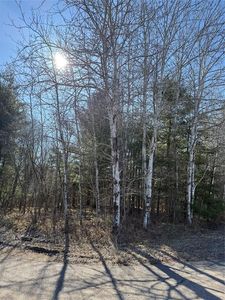 1.06 Acre on 297th Avenue, Holcombe, WI, 54745