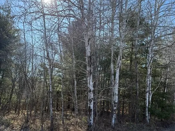 1.06 Acre on 297th Avenue, Holcombe, WI 54745