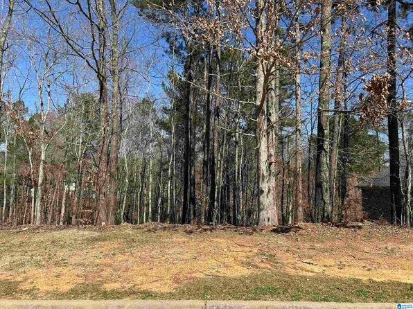 200 Oaklyn Hills Dr #81, Chelsea, AL 35043