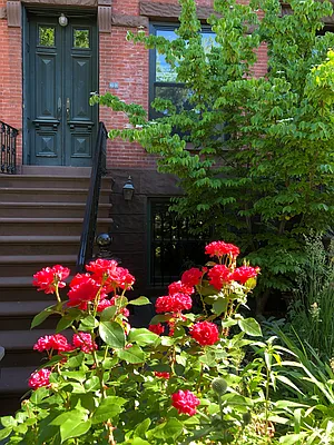 Rented by Carroll Gardens Realty | media 9