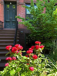 Rented by Carroll Gardens Realty