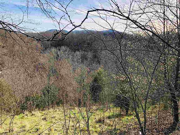 3rd image of 1294 Ivey-hall Dr