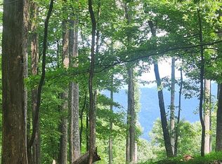 LOT M212 E Walnut Rdg, Ellijay, GA 30536