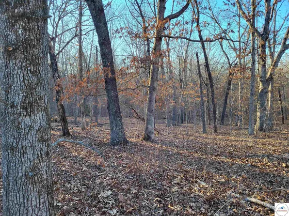 Wenzel Pl, Edwards, MO 65326
