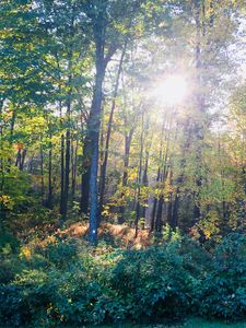 1221 Branch Rd, Wells, ME, 04090