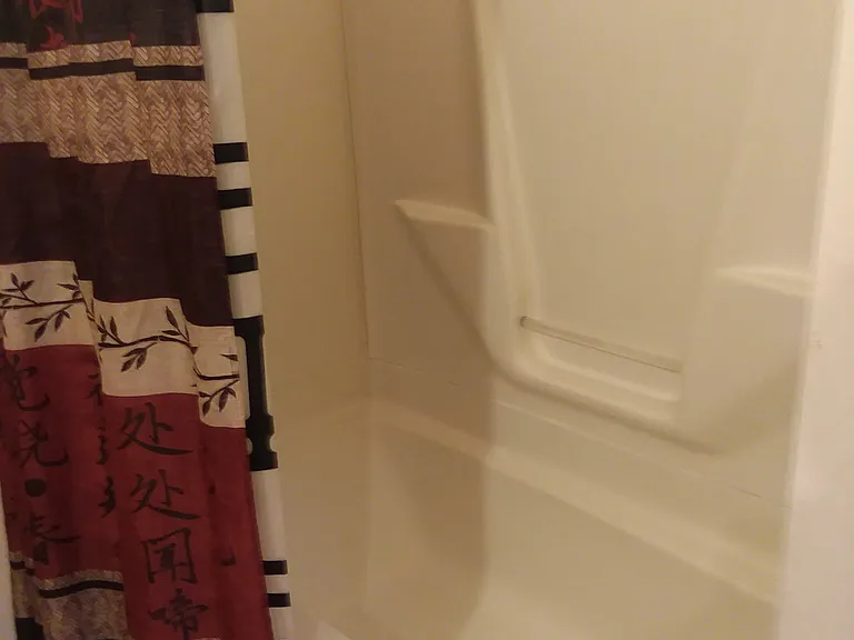 Bathtub with old shower curtains - not included