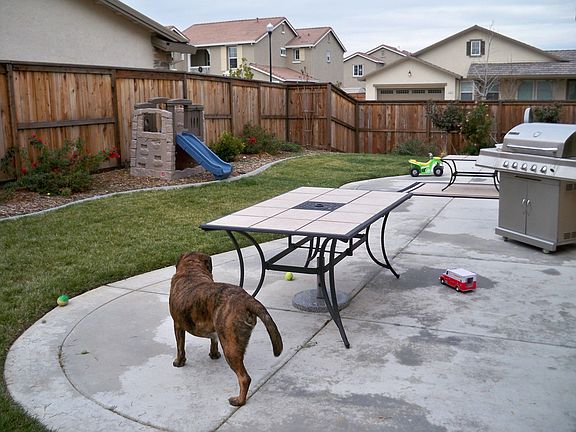 4th image of 2164 Lemontree Way