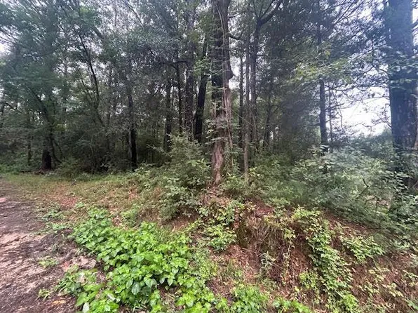 Clairborne Jones Rd, Waynesboro, MS 39367