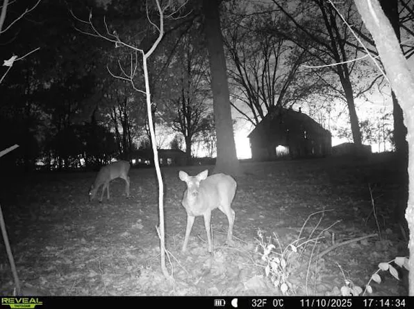 12043 E 2170th Rd, Marshall, IL 62441