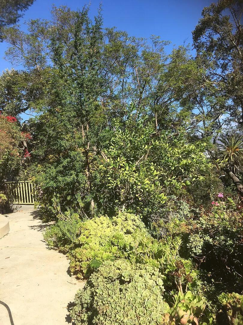 Secluded apartment in a heart of the city — Photo 2