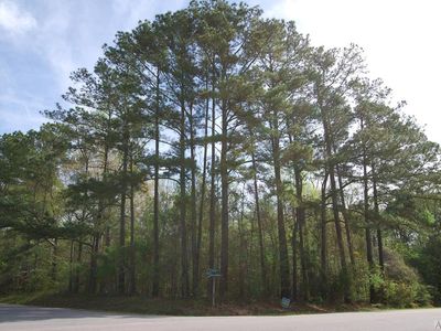 TBA Snug Harbor Road LOT 57L-58L, Hertford, NC, 27944