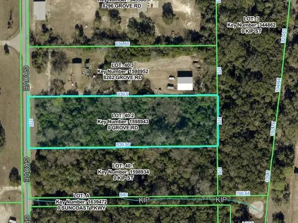 GROVE ROAD LOT 2, BROOKSVILLE, FL 34613