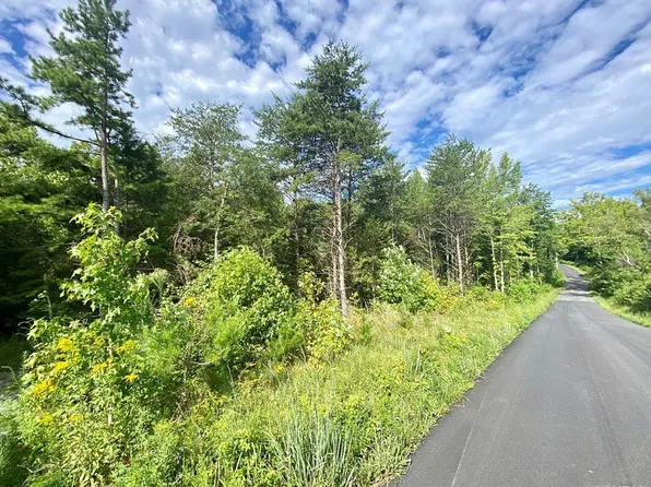 0 Apple Grove Rd, Mineral, VA 23117