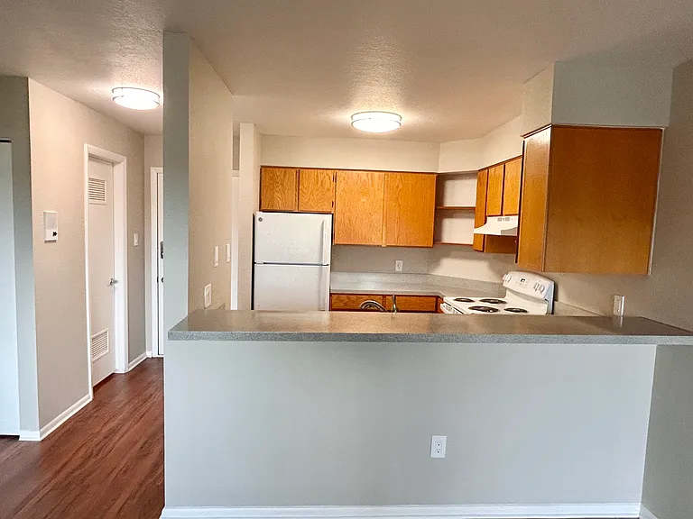 Explore this contemporary kitchen, perfect for culinary enthusiasts. Explore this contemporary kitchen, perfect for culinary enthusiasts.