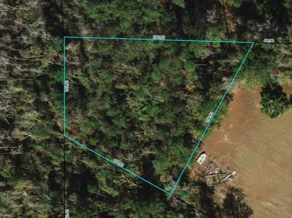 County Road 333 NW, Bristol, FL 32321