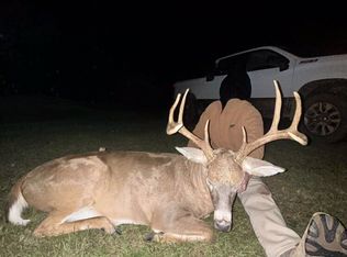 0 Wallace Buie Rd, Webb, AL 36376