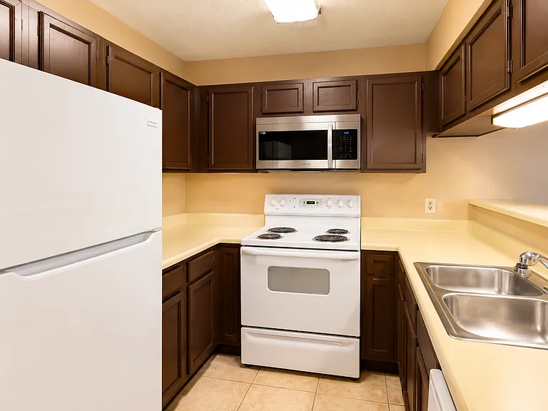 10527 Perrin Beitel Rd #D206 — Photo 6
