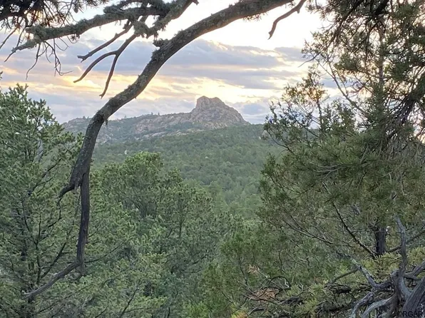 1268 Coyote Run, Cotopaxi, CO 81223