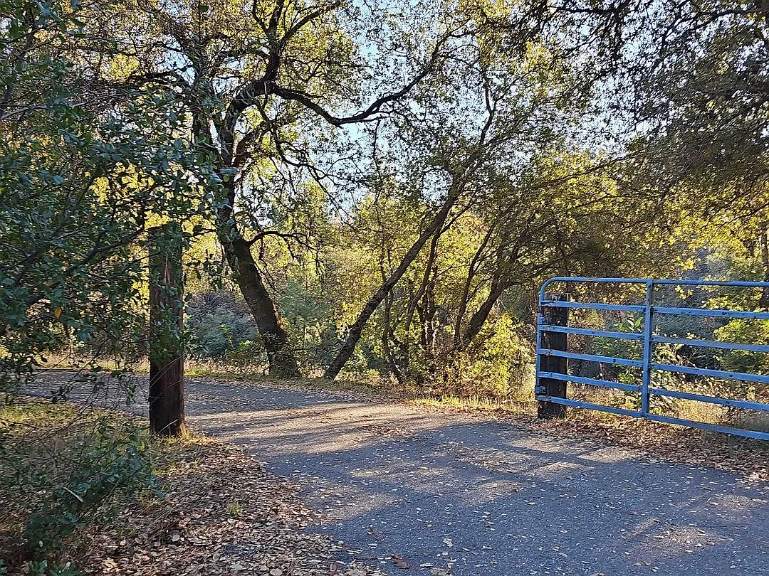 1371 French Gulch Rd photo 1