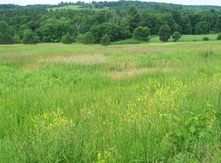 Cemetery Rd, Van Hornesville, NY 13475