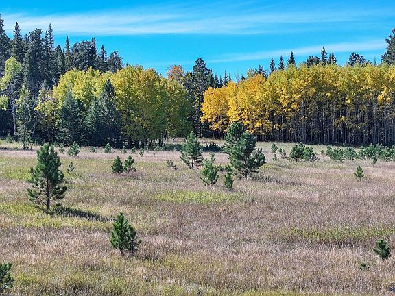 5th image of Aspen Lookout Loop