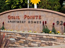 Elan Quail Pointe Apartment Homes