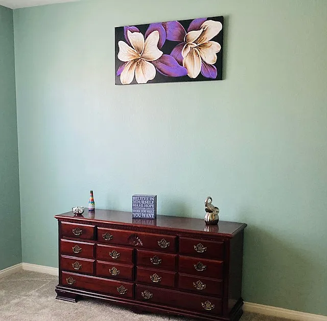 Running Canyon Dr, Murrieta — Photo 2