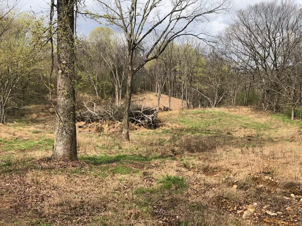 0 Garner Rd Lot 2, Mount Pleasant, TN 38474